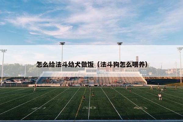 怎么给法斗幼犬做饭（法斗狗怎么喂养）