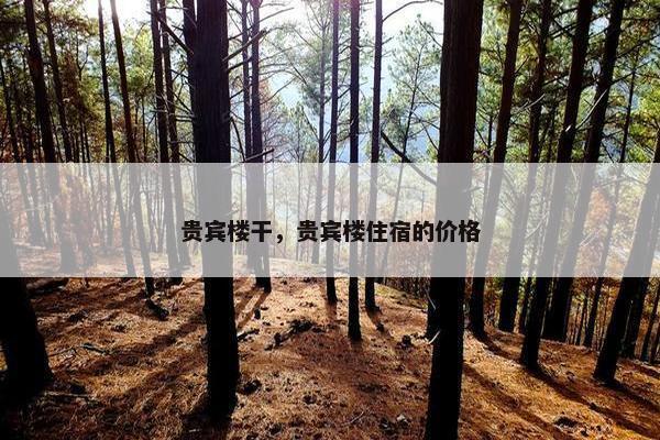 贵宾楼干，贵宾楼住宿的价格