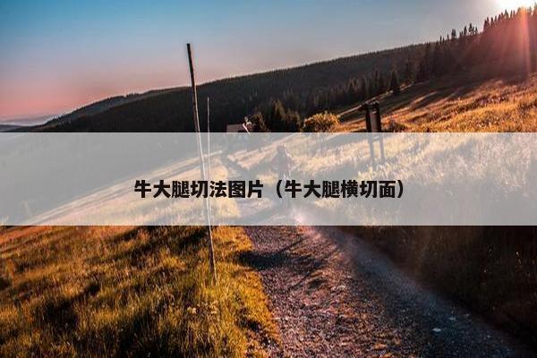 牛大腿切法图片（牛大腿横切面）