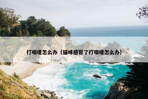 打喷嚏怎么办（猫咪感冒了打喷嚏怎么办）