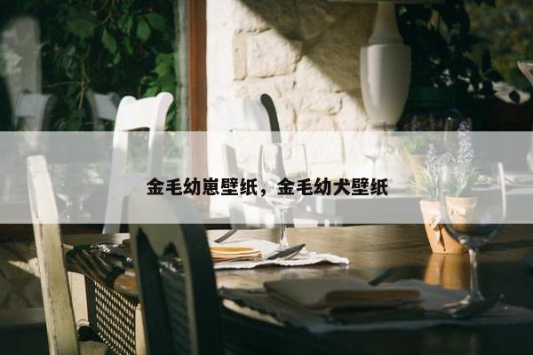 金毛幼崽壁纸，金毛幼犬壁纸
