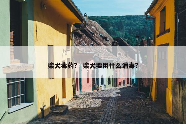柴犬毒药？ 柴犬要用什么消毒？