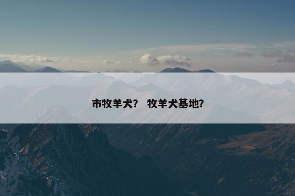 市牧羊犬？ 牧羊犬基地？
