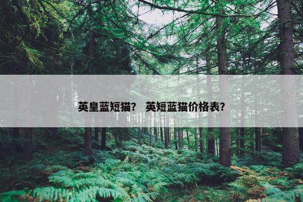英皇蓝短猫？ 英短蓝猫价格表？