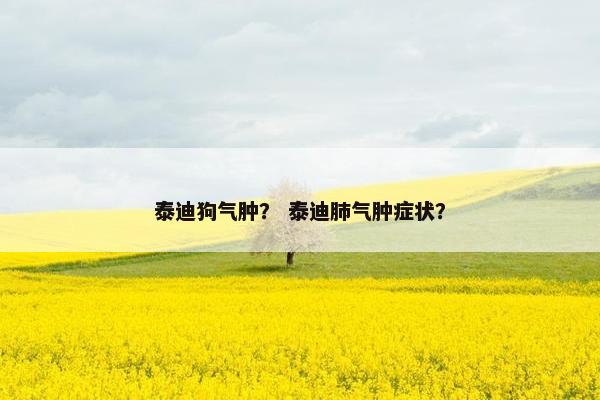 泰迪狗气肿? 泰迪肺气肿症状? 泰迪狗气肿? 泰迪肺气肿症状?