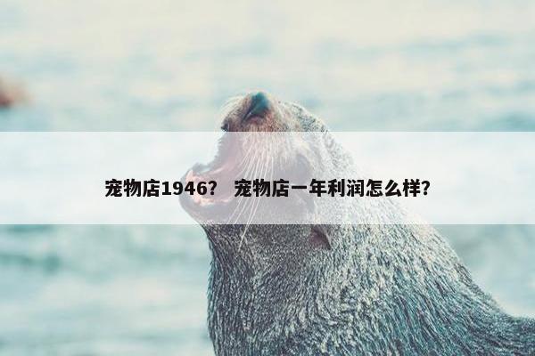 宠物店1946？ 宠物店一年利润怎么样？