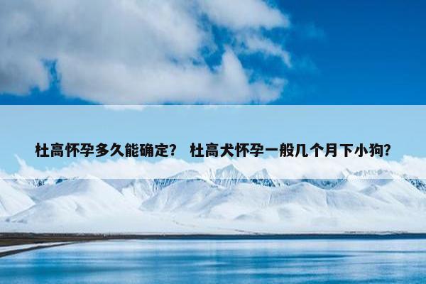 杜高怀孕多久能确定？ 杜高犬怀孕一般几个月下小狗？