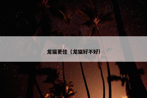 龙猫更佳（龙猫好不好）