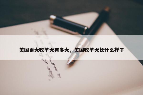 美国更大牧羊犬有多大，美国牧羊犬长什么样子
