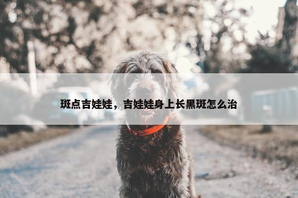 斑点吉娃娃，吉娃娃身上长黑斑怎么治