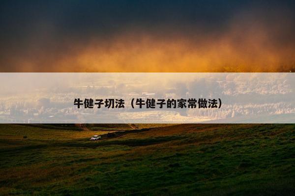 牛健子切法（牛健子的家常做法）