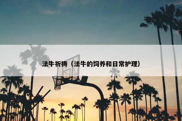 法牛祈祷（法牛的饲养和日常护理）