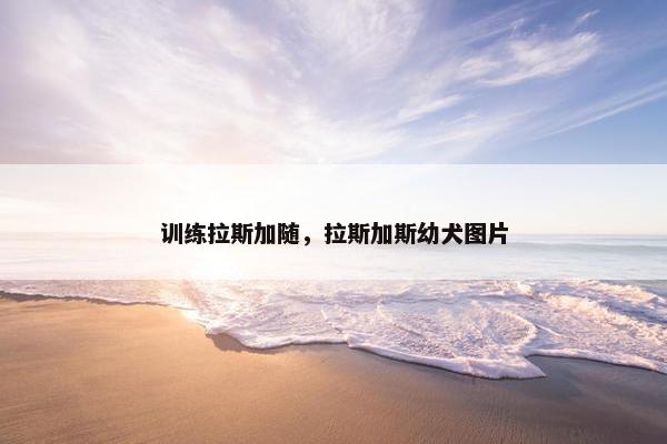 训练拉斯加随，拉斯加斯幼犬图片