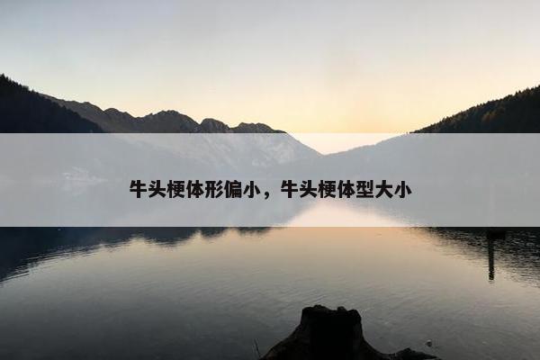 牛头梗体形偏小，牛头梗体型大小