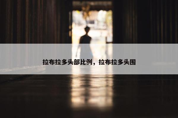 拉布拉多头部比例，拉布拉多头围