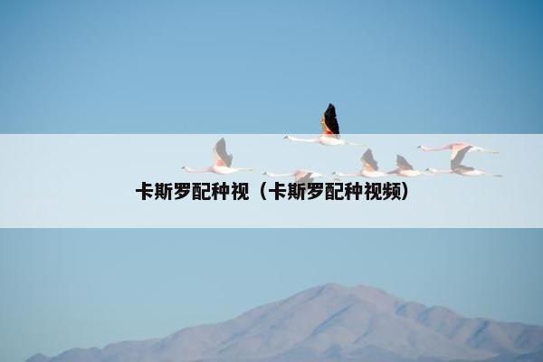 卡斯罗配种视（卡斯罗配种视频）