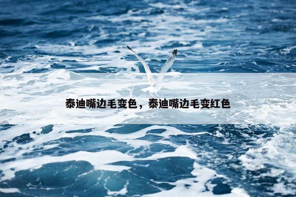 泰迪嘴边毛变色，泰迪嘴边毛变红色