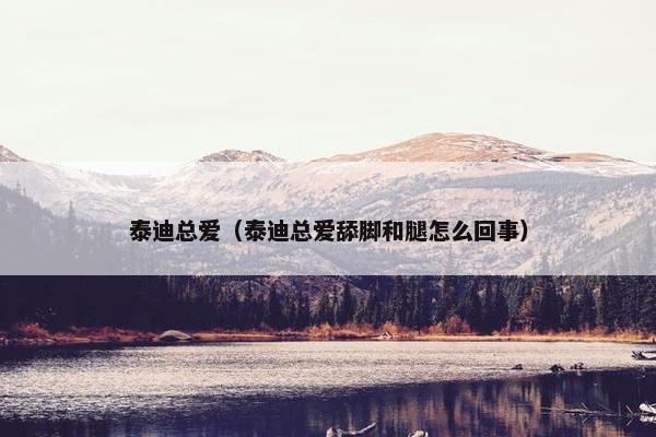 泰迪总爱（泰迪总爱舔脚和腿怎么回事）