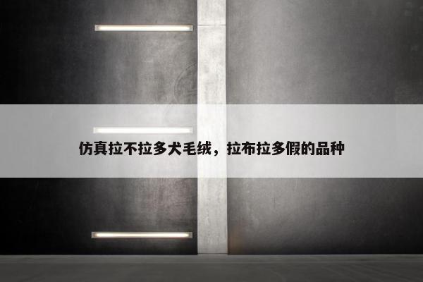 仿真拉不拉多犬毛绒，拉布拉多假的品种