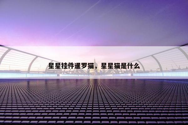 星星挂件暹罗猫，星星猫是什么