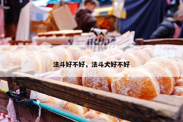 法斗好不好，法斗犬好不好