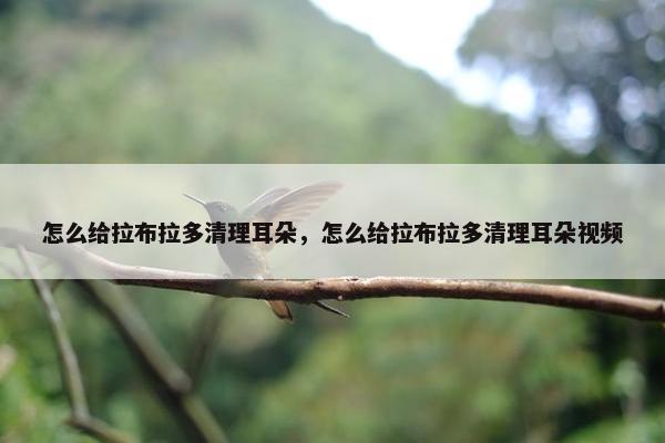 怎么给拉布拉多清理耳朵，怎么给拉布拉多清理耳朵视频