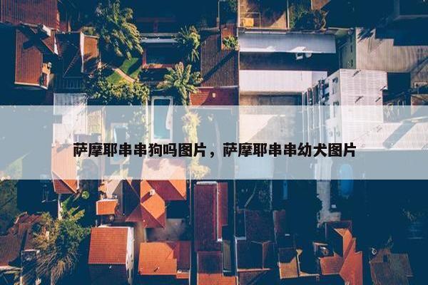 萨摩耶串串狗吗图片，萨摩耶串串幼犬图片