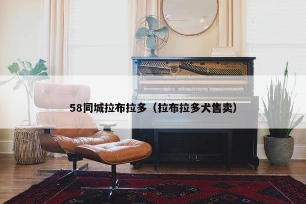 58同城拉布拉多（拉布拉多犬售卖）