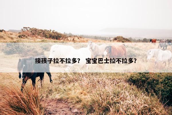 接孩子拉不拉多？ 宝宝巴士拉不拉多？