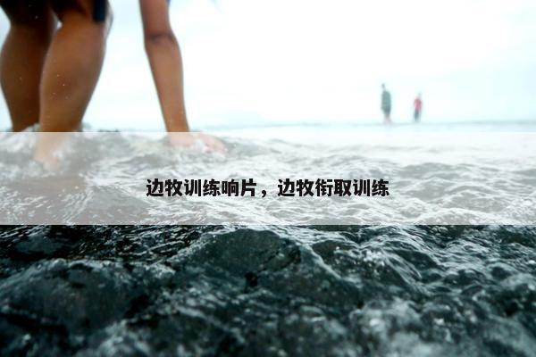 边牧训练响片，边牧衔取训练
