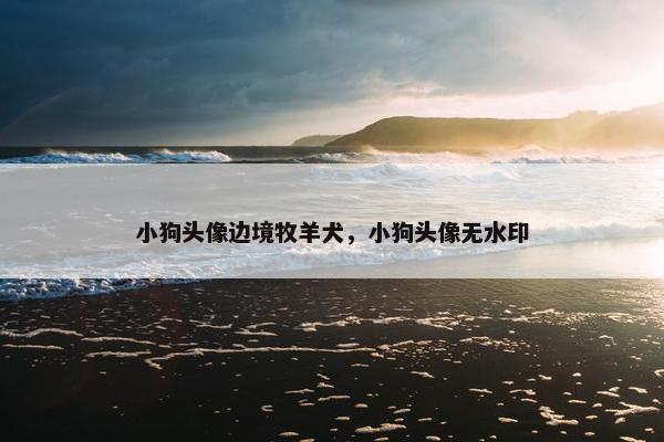 小狗头像边境牧羊犬，小狗头像无水印