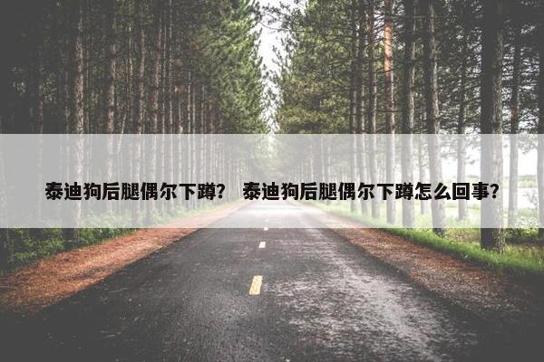 泰迪狗后腿偶尔下蹲？ 泰迪狗后腿偶尔下蹲怎么回事？