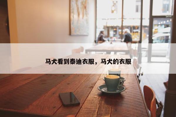 马犬看到泰迪衣服，马犬的衣服