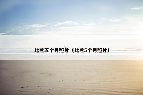 比熊五个月照片（比熊5个月照片）