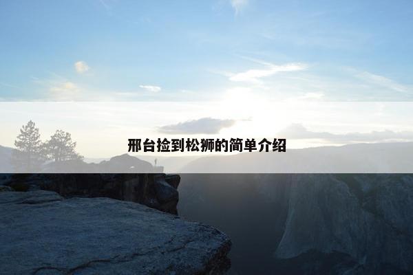 邢台捡到松狮的简单介绍