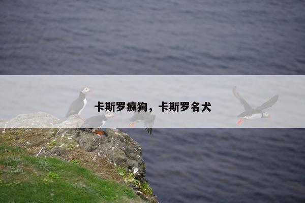 卡斯罗疯狗，卡斯罗名犬