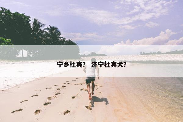 宁乡杜宾？ 济宁杜宾犬？