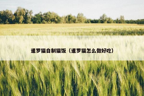 暹罗猫自制猫饭（暹罗猫怎么做好吃）