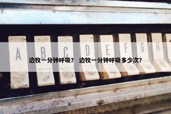 边牧一分钟呼吸？ 边牧一分钟呼吸多少次？