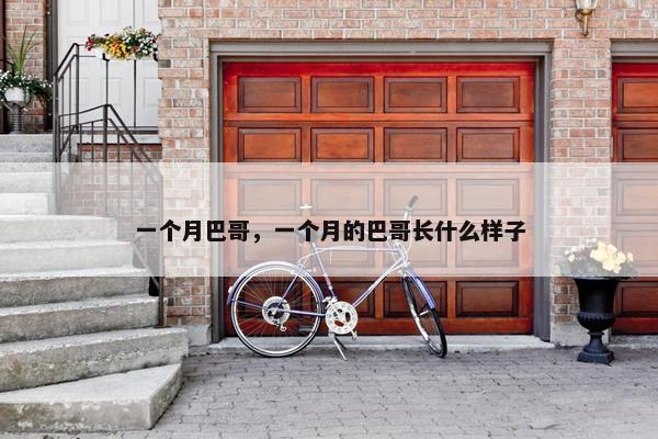 一个月巴哥，一个月的巴哥长什么样子