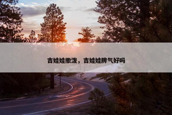 吉娃娃撒泼，吉娃娃脾气好吗