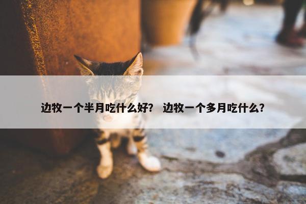 边牧一个半月吃什么好？ 边牧一个多月吃什么？