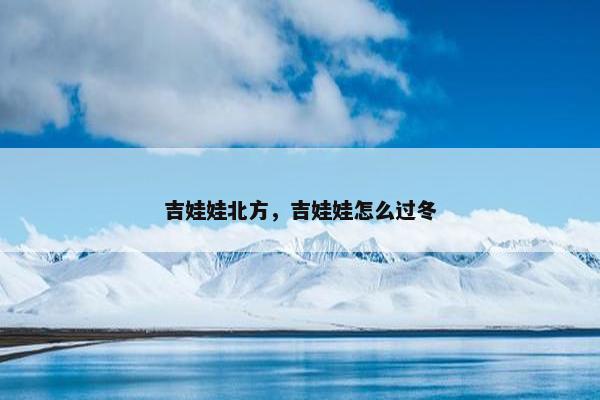吉娃娃北方，吉娃娃怎么过冬
