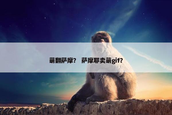 萌翻萨摩？ 萨摩耶卖萌gif？