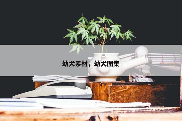 幼犬素材，幼犬图集