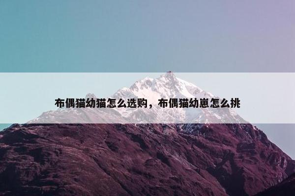 布偶猫幼猫怎么选购，布偶猫幼崽怎么挑