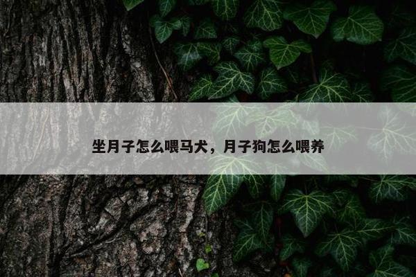 坐月子怎么喂马犬，月子狗怎么喂养