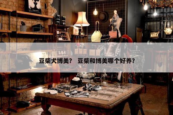 豆柴犬博美？ 豆柴和博美哪个好养？