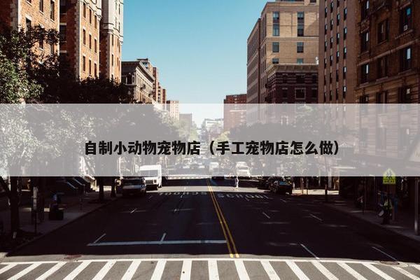 自制小动物宠物店（手工宠物店怎么做）