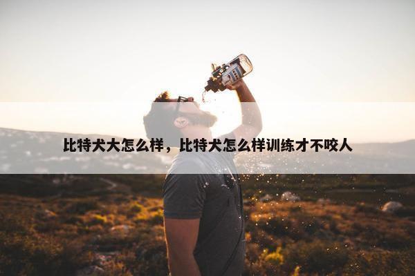 比特犬大怎么样，比特犬怎么样训练才不咬人